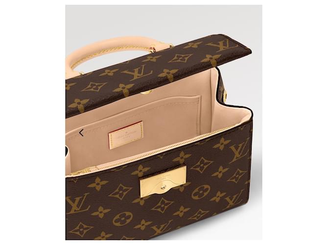 Louis Vuitton Cluny Mini Borsa Monogram Marrone - vista 3