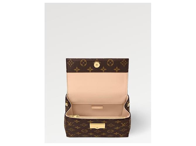 Louis Vuitton Cluny Mini Borsa Monogram Marrone - vista 5