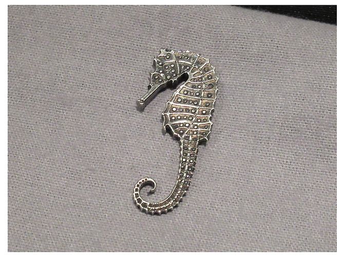 broche Cavalo Marinho Saint Laurent / Broche - vista 2