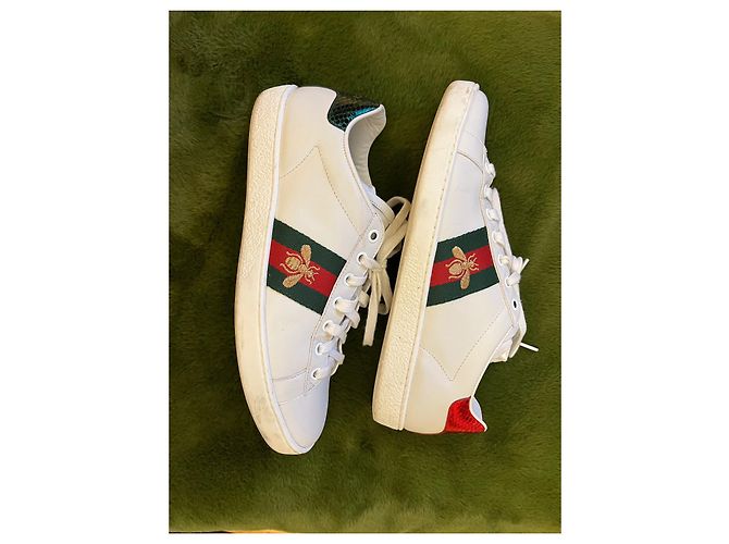 Gucci Bee Sneaker aus Leder weiß - Ansicht 4