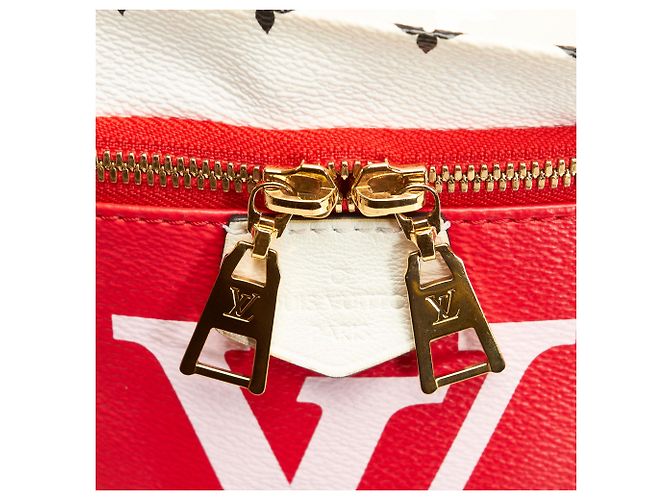 Bumbag Marsupio gigante con monogramma rosso Louis Vuitton - vista 8
