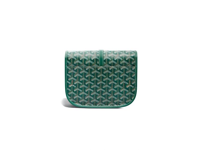 Goyard Saddlebags - view 2
