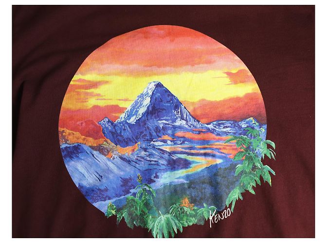 Camiseta de manga comprida Kenzo Classic Painting em algodão marrom - vista 4