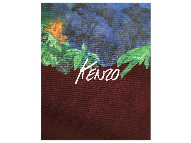 Camiseta de manga comprida Kenzo Classic Painting em algodão marrom - vista 5