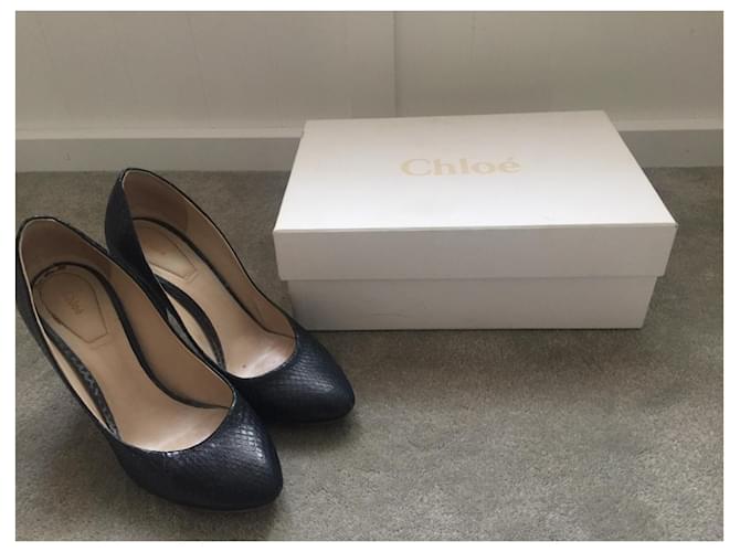 Chloé Pumps aus Python Marineblau 10cm Absatz - Ansicht 8