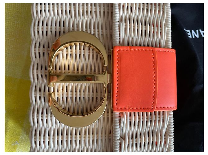 Borsa Christian Dior Dior Wicker 30 Montaigne Arancione Pelle - vista 16