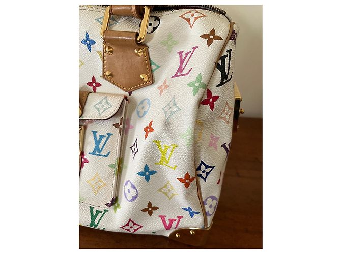 Bolsa de mão Louis Vuitton Speedy Multicolor em tecido Multicor - vista 14