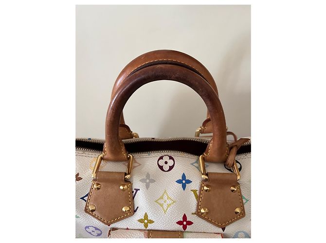 Bolsa de mão Louis Vuitton Speedy Multicolor em tecido Multicor - vista 15