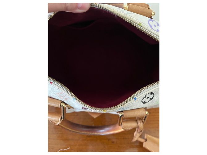Bolsa de mão Louis Vuitton Speedy Multicolor em tecido Multicor - vista 6
