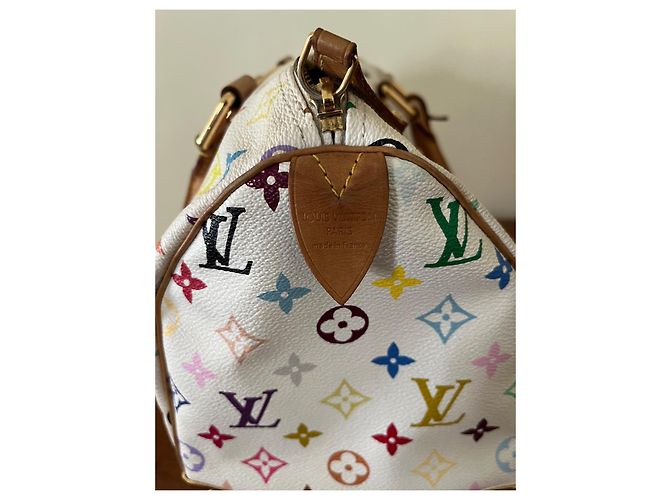 Bolsa de mão Louis Vuitton Speedy Multicolor em tecido Multicor - vista 7