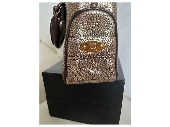 Céline Boogie Nano Shagreen Braun und Gold Metallisch - Ansicht 2