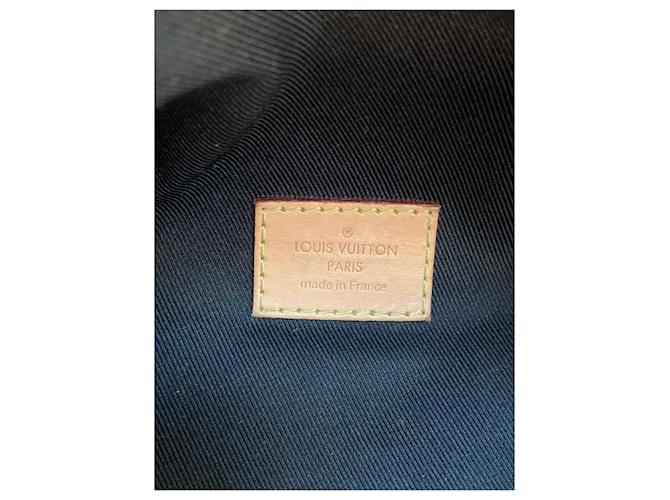 Louis Vuitton Borse laterali Marrone - vista 5