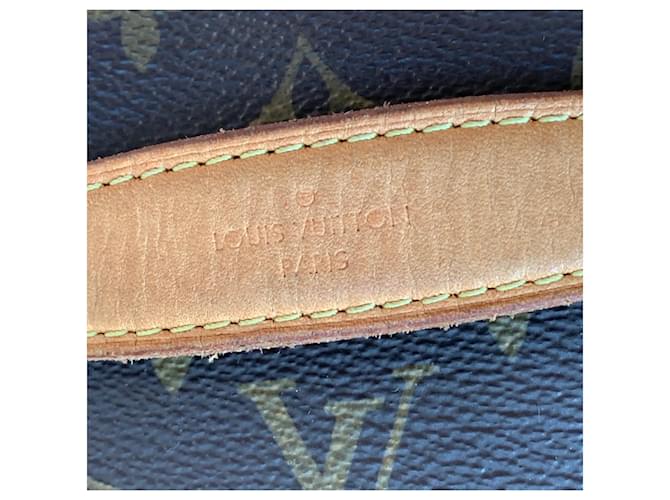 Louis Vuitton Borse laterali Marrone - vista 6