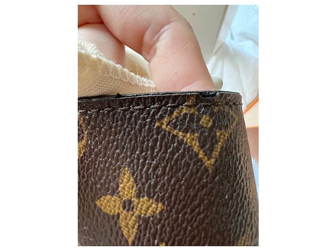 Vaugirard di Louis Vuitton Marrone Crudo Caramello - vista 12