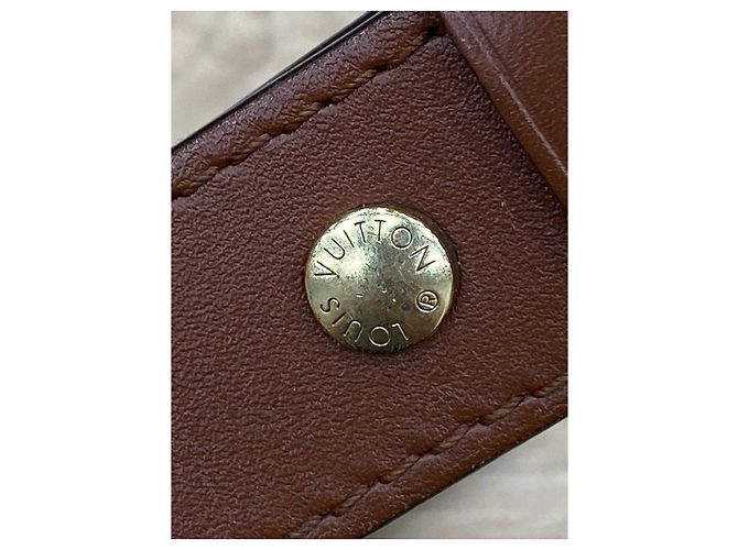 Vaugirard di Louis Vuitton Marrone Crudo Caramello - vista 14