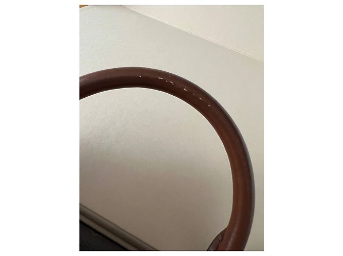 Vaugirard di Louis Vuitton Marrone Crudo Caramello - vista 4