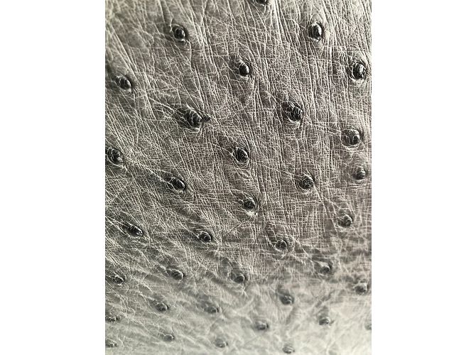 Autre Marque NON FIRMATO / Borse non firmate T.  Struzzo Grigio - vista 17
