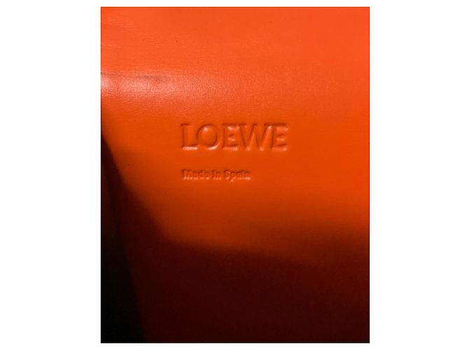 Borsa a Tracolla Loewe Barcelona Piccola in Pelle Arancione - vista 10
