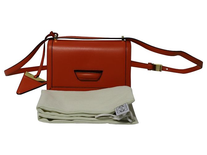 Borsa a Tracolla Loewe Barcelona Piccola in Pelle Arancione - vista 12