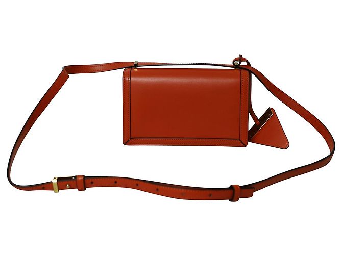 Borsa a Tracolla Loewe Barcelona Piccola in Pelle Arancione - vista 6
