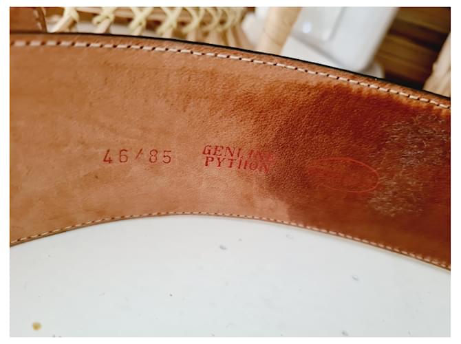 Cinto Loewe Python Taupe 85 cm - vista 4