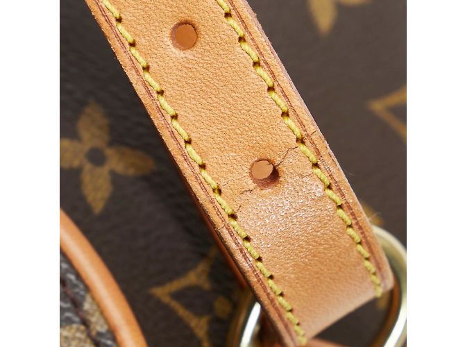 Louis Vuitton Monogramm Ellipse Sac A Dos Rucksack M51125 Braun - Ansicht 5