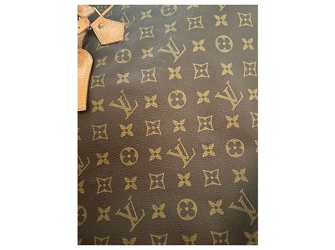 Custodia da viaggio Louis Vuitton Pelle Monogramma Marrone - vista 9