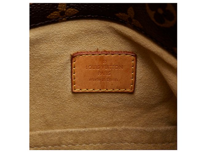 Louis Vuitton Brown Monogram Artsy MM Marron - vue 6