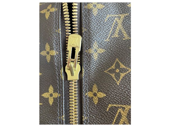 Borsa da viaggio Louis Vuitton Horizon 55 Marrone in Tela - vista 9