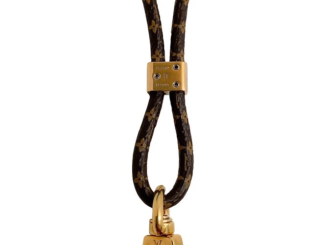 Louis Vuitton 2019 Monogramm-Silikon-Louise-Telefonhalter Braun - Ansicht 4
