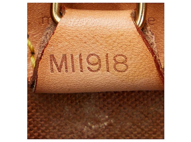 Louis Vuitton Marrón Monogram Ellipse Sac a Dos Castaño - vista 7
