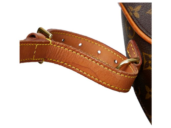 Louis Vuitton Marrón Monogram Ellipse Sac a Dos Castaño - vista 9