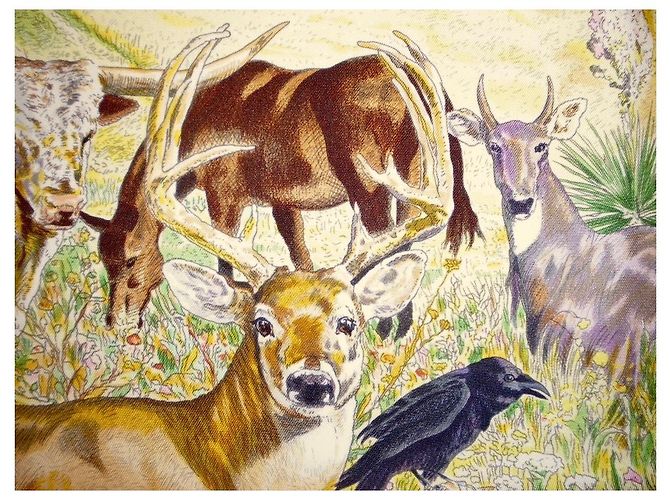 Hermès Hermes: Rare Square "La vida salvaje de Texas"  2014 ¡Ya eres coleccionista! Multicolor - vista 13