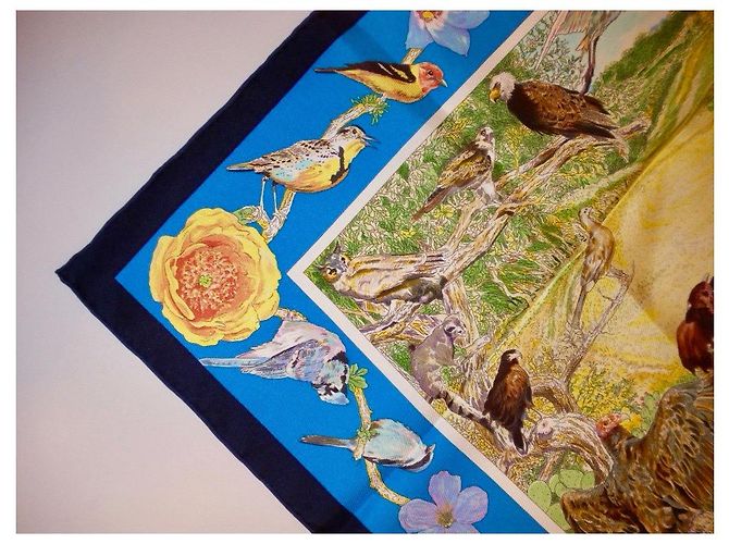 Hermès Hermes: Rare Square "La vida salvaje de Texas"  2014 ¡Ya eres coleccionista! Multicolor - vista 2
