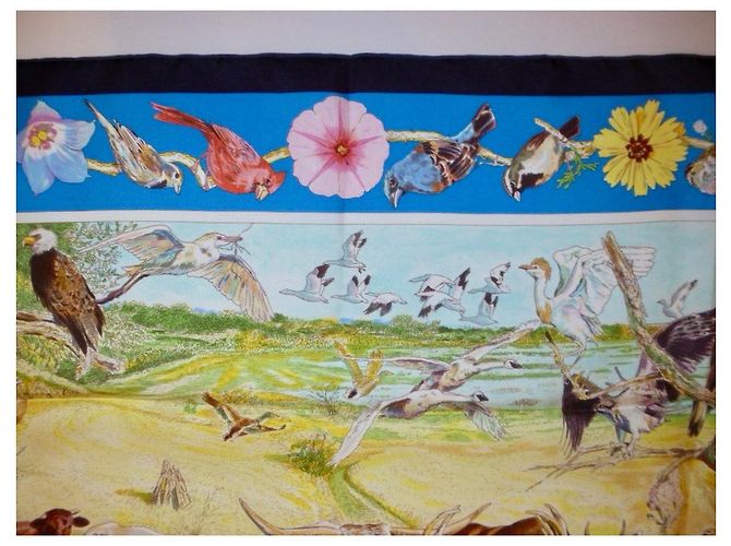 Hermès Hermes: Rare Square "La vida salvaje de Texas"  2014 ¡Ya eres coleccionista! Multicolor - vista 3