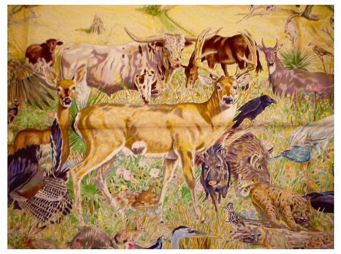 Hermès Hermes: Rare Square "La vida salvaje de Texas"  2014 ¡Ya eres coleccionista! Multicolor - vista 6