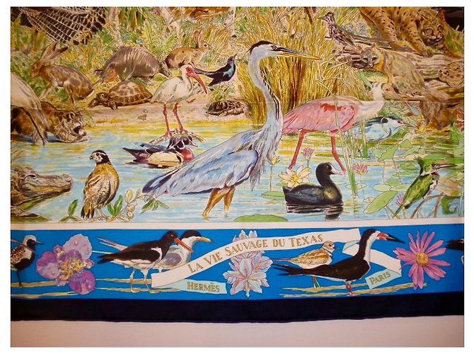 Hermès Hermes: Rare Square "La vida salvaje de Texas"  2014 ¡Ya eres coleccionista! Multicolor - vista 9