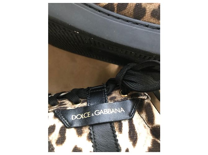 Dolce & Gabbana Runway Sneaker Leopardenmuster 39 Leopardenprint - Ansicht 5