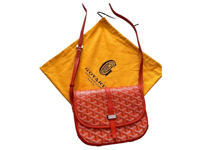 Borsa a tracolla Goyard Belvedere PM Arancione in pelle - vista 2