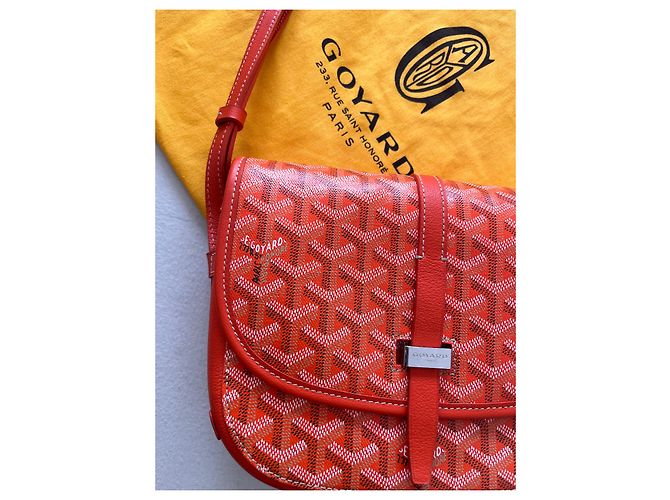 Borsa a tracolla Goyard Belvedere PM Arancione in pelle - vista 3