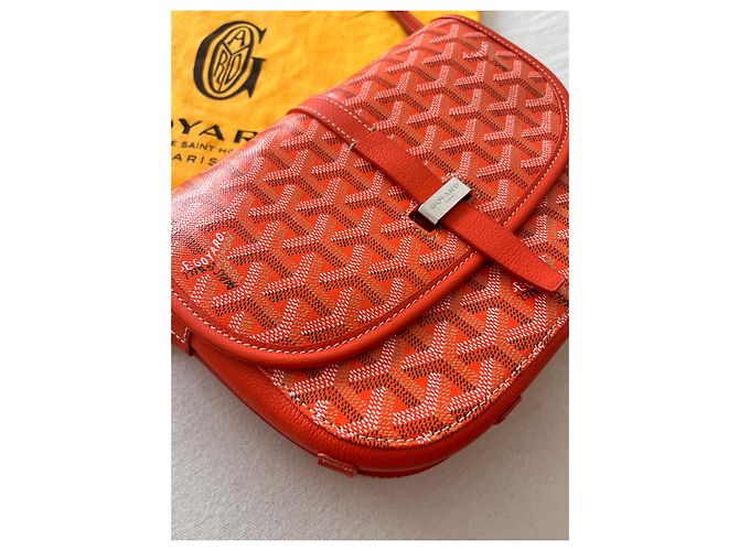 Borsa a tracolla Goyard Belvedere PM Arancione in pelle - vista 6