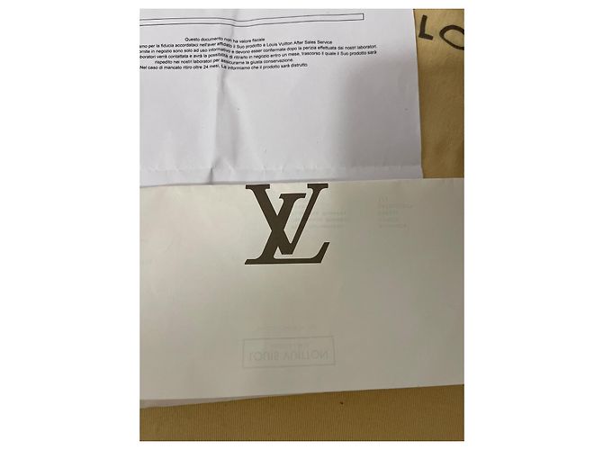 Speedy Louis Vuitton Spidy 40 Trunk Bag Camel Stoff Kamel - Ansicht 10