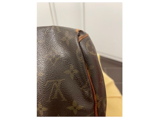 Speedy Louis Vuitton Spidy 40 Trunk Bag Camel Stoff Kamel - Ansicht 6