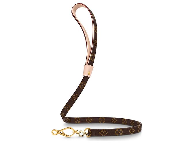 Louis Vuitton LV Baxter Laisse GM new Brown - view 3