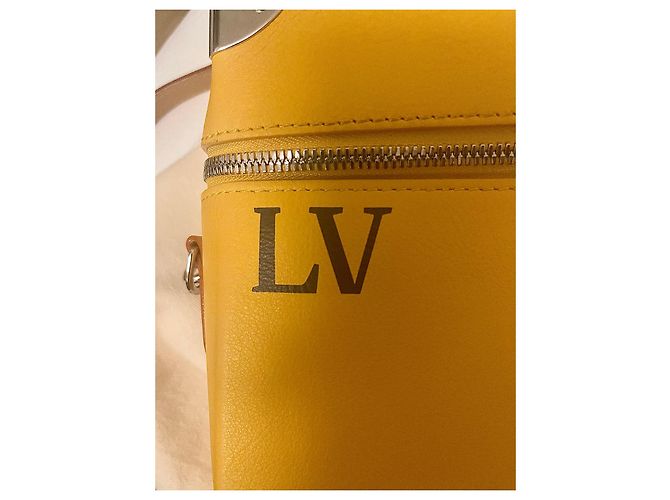 Borsa Saddle Louis Vuitton Gialla in Pelle Giallo - vista 8
