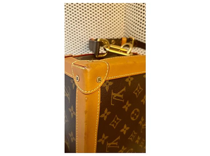 Borsa Louis Vuitton Soft Trunk Marrone in Tela - vista 10