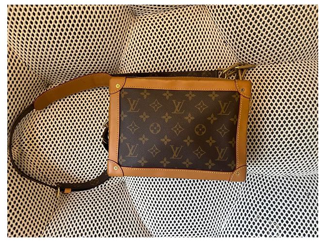 Borsa Louis Vuitton Soft Trunk Marrone in Tela - vista 5