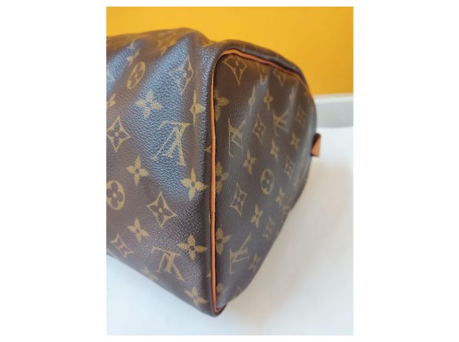 Borsa a mano Louis Vuitton Speedy 30 Monogram Marrone - vista 5