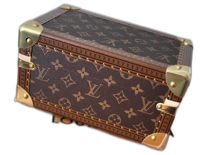Louis Vuitton Scatola del tesoro 24 Pelle Marrone - vista 2