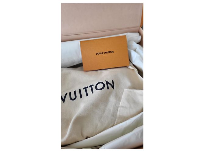 Louis Vuitton Scatola del tesoro 24 Pelle Marrone - vista 3